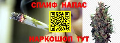 молекула духа Севастополь