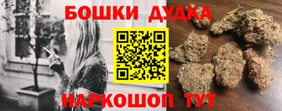 гидропоника Сланцы