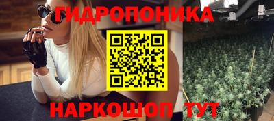 гидропоника Сланцы