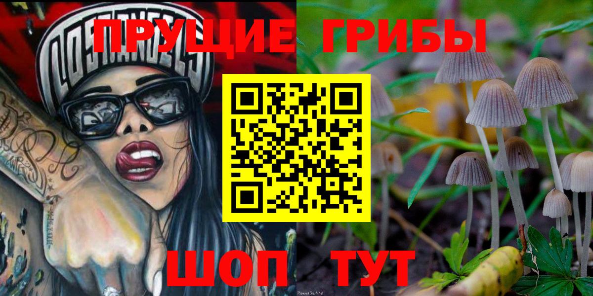 Галлюциногенные грибы MAGIC MUSHROOMS  Вход с VPN  Псилоцибиновые грибы прущие грибы  Ногинск 